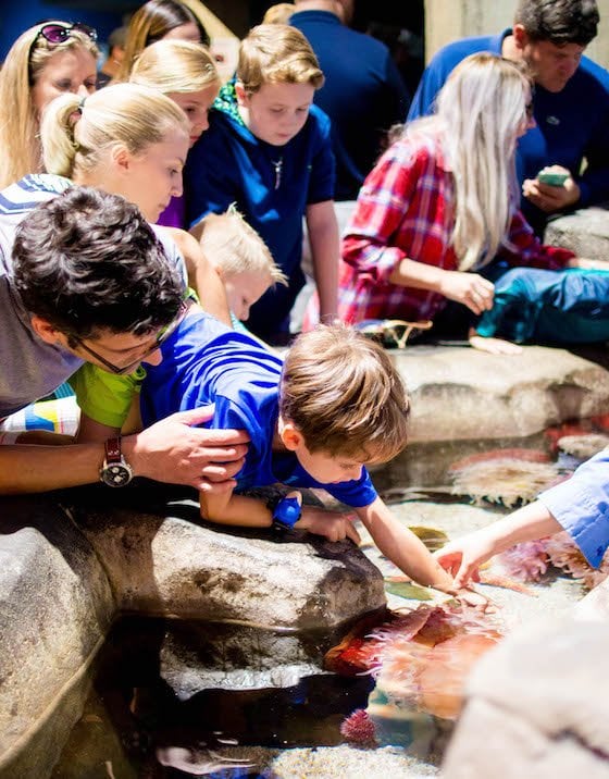 Atlanta – A Southern Family Destination