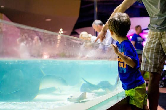 Atlanta – A Southern Family Destination