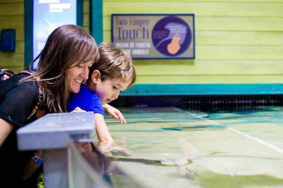 Atlanta – A Southern Family Destination