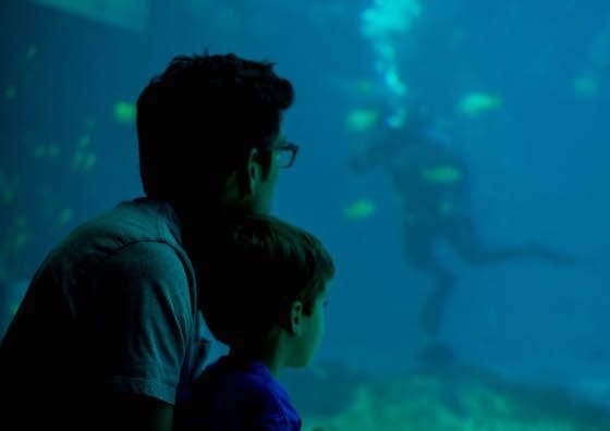 Atlanta – A Southern Family Destination