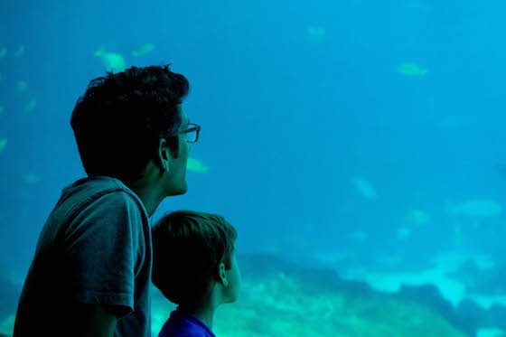 Atlanta – A Southern Family Destination