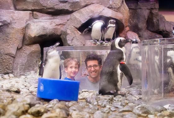 Atlanta – A Southern Family Destination