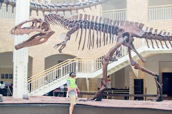 Atlanta – A Southern Family Destination