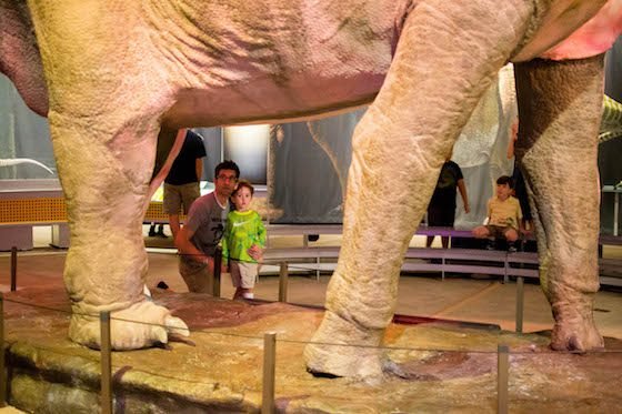 Atlanta – A Southern Family Destination