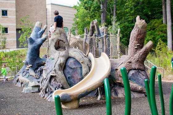 Atlanta – A Southern Family Destination