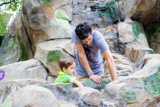 Atlanta – A Southern Family Destination