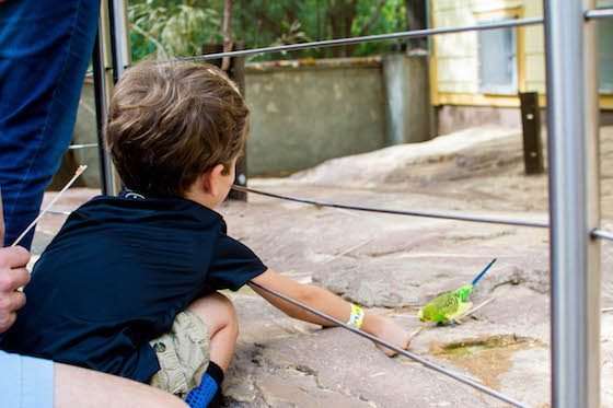 Atlanta – A Southern Family Destination