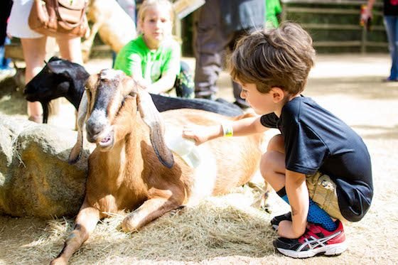 Atlanta – A Southern Family Destination