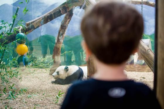 Atlanta – A Southern Family Destination