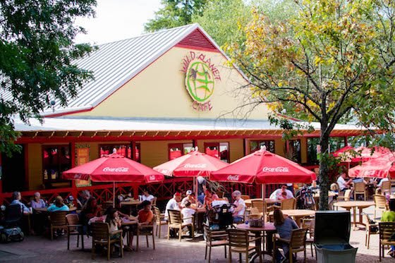 Atlanta – A Southern Family Destination