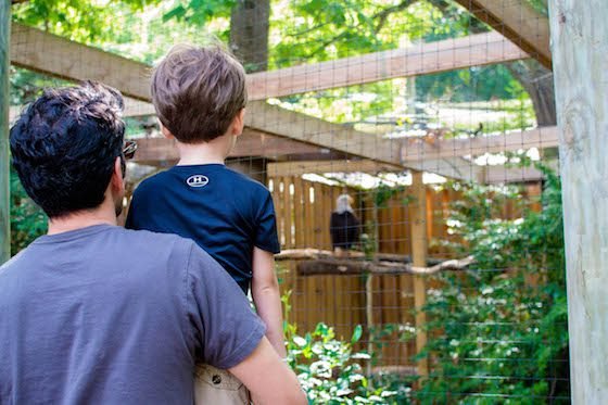 Atlanta – A Southern Family Destination