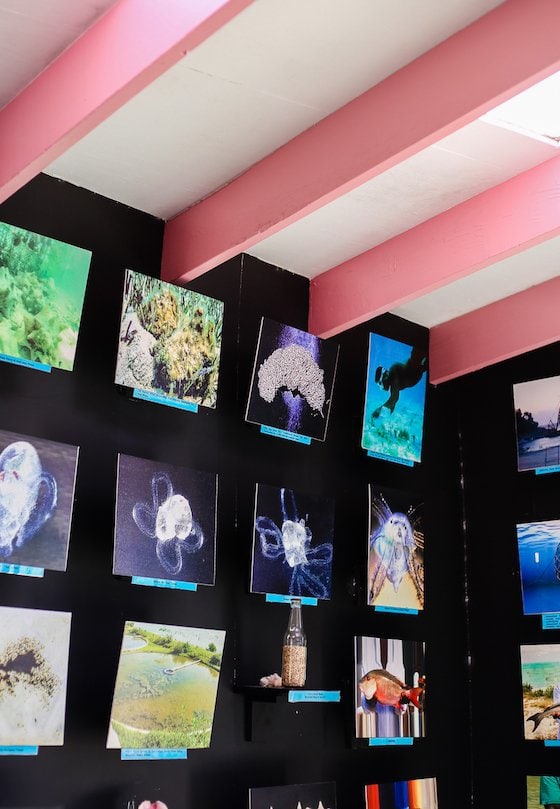 How To Spend 5 Fulfilling Days In Providenciales, Turks & Caicos