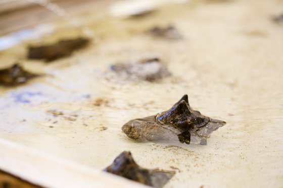 How To Spend 5 Fulfilling Days In Providenciales, Turks & Caicos