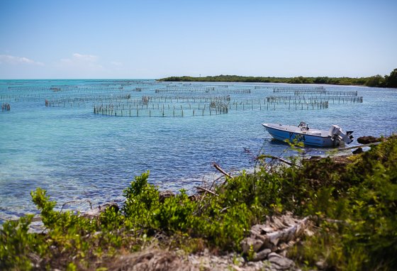 How To Spend 5 Fulfilling Days In Providenciales, Turks & Caicos