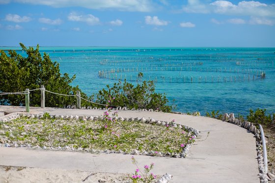 How To Spend 5 Fulfilling Days In Providenciales, Turks & Caicos