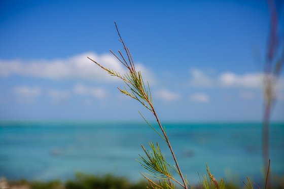 How To Spend 5 Fulfilling Days In Providenciales, Turks & Caicos