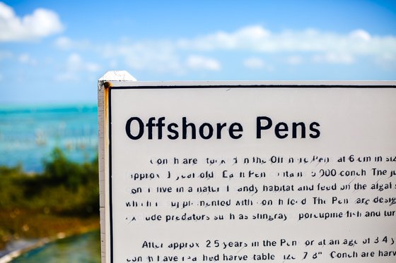 How To Spend 5 Fulfilling Days In Providenciales, Turks & Caicos