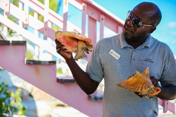 How To Spend 5 Fulfilling Days In Providenciales, Turks & Caicos