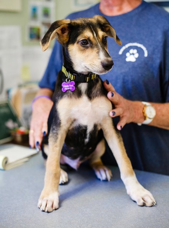 How To Spend 5 Fulfilling Days In Providenciales, Turks & Caicos