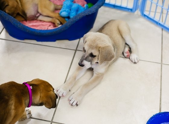 How To Spend 5 Fulfilling Days In Providenciales, Turks & Caicos