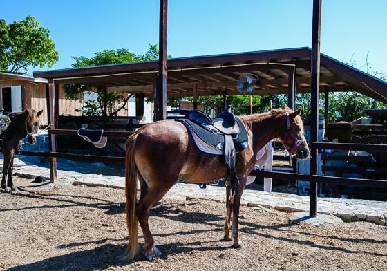 How To Spend 5 Fulfilling Days In Providenciales, Turks & Caicos