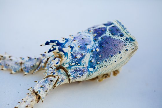 How To Spend 5 Fulfilling Days In Providenciales, Turks & Caicos