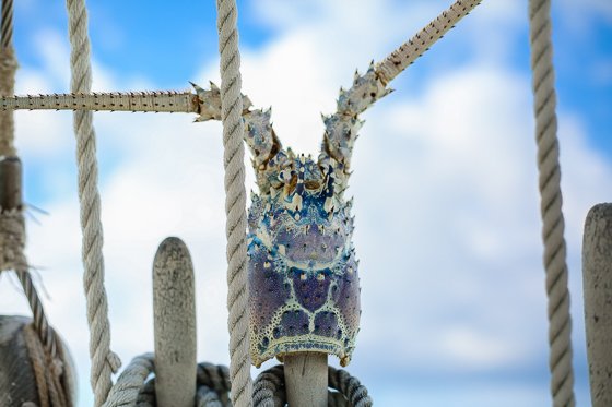 How To Spend 5 Fulfilling Days In Providenciales, Turks & Caicos