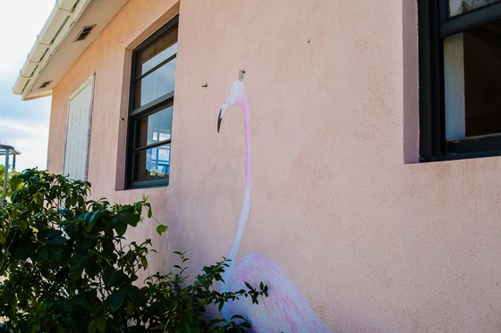 How To Spend 5 Fulfilling Days In Providenciales, Turks & Caicos