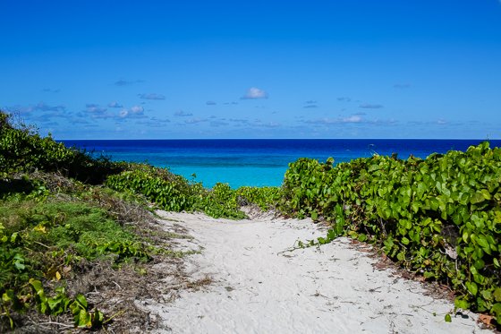 How To Spend 5 Fulfilling Days In Providenciales, Turks & Caicos