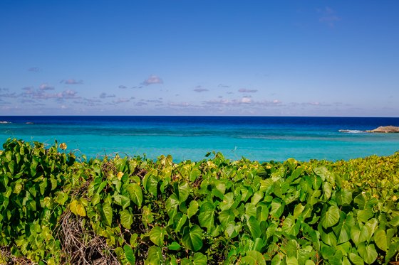 Escape The Winter Blues At Ocean Club Resorts: Turks & Caicos