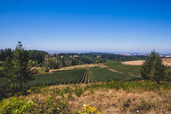 Traveling With Children To Portland For The Weekend