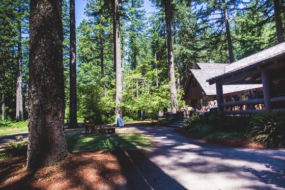 Traveling With Children To Portland For The Weekend
