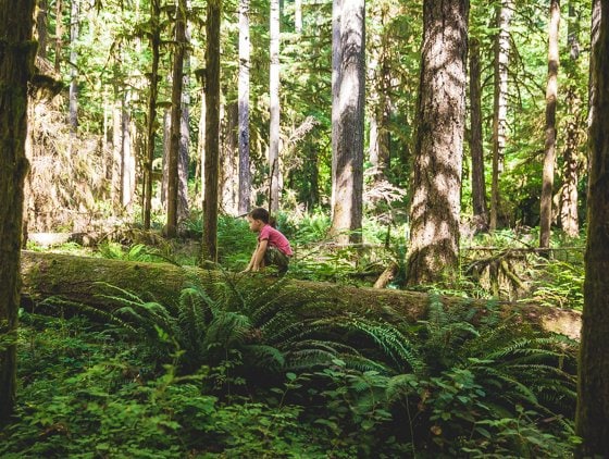 Traveling With Children To Portland For The Weekend