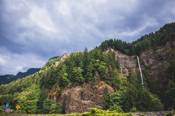 Traveling With Children To Portland For The Weekend