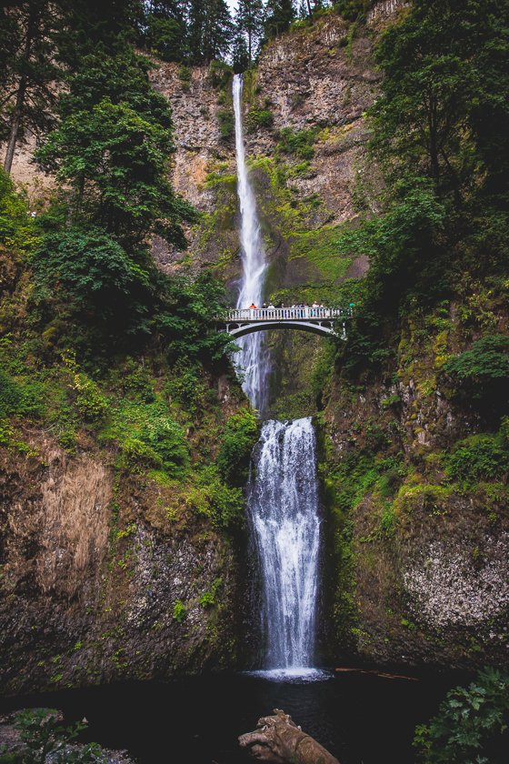 Traveling With Children To Portland For The Weekend