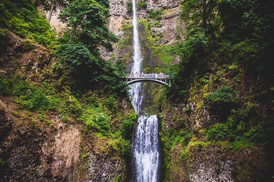 Traveling With Children To Portland For The Weekend