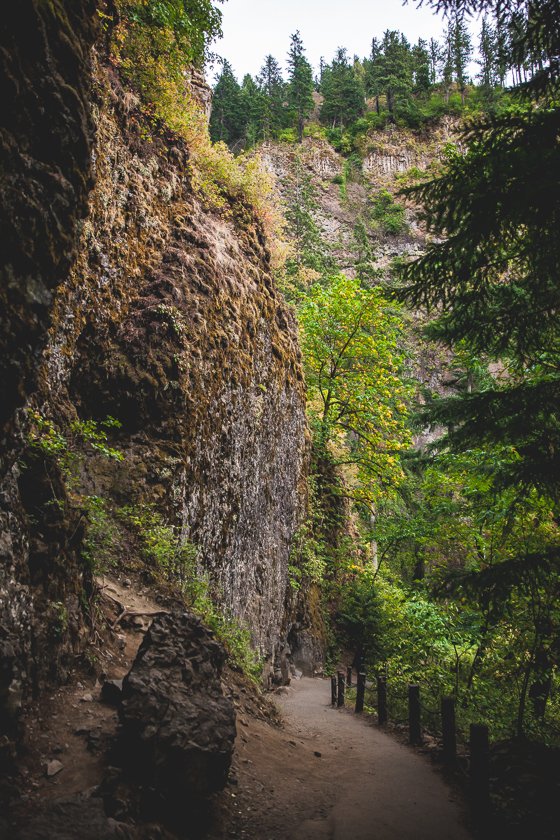 Traveling With Children To Portland For The Weekend