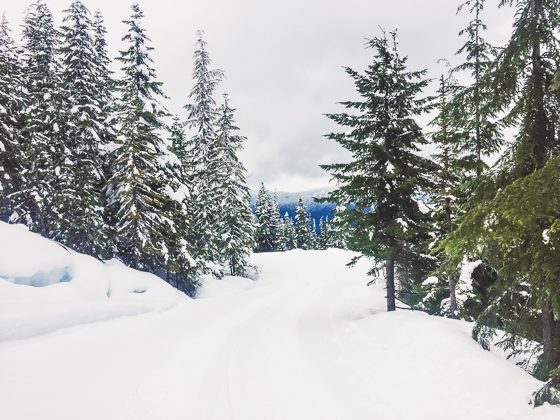 The Romantic Guide To Whistler For Couples The Romantic Guide To Whistler For Couples