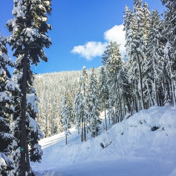 The Romantic Guide To Whistler For Couples The Romantic Guide To Whistler For Couples