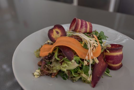 What To Do On A Kid-free Getaway In Orlando