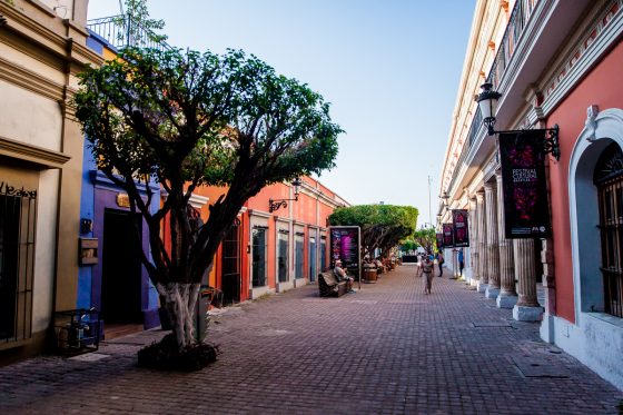 Magical Images Of Mazatlan