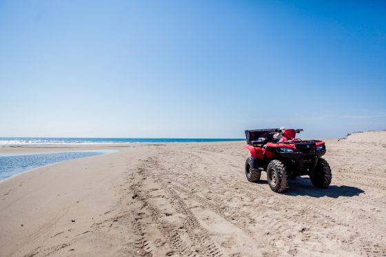 Magical Images Of Mazatlan