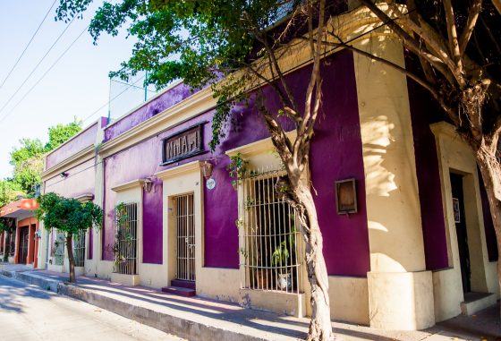 Experiencing The Best In Mazatlan, Mexico