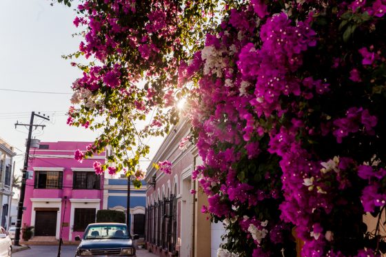 Experiencing The Best In Mazatlan, Mexico