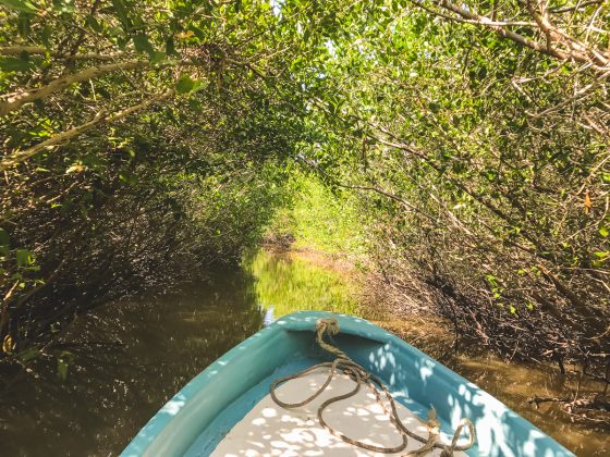 Experiencing The Best In Mazatlan, Mexico