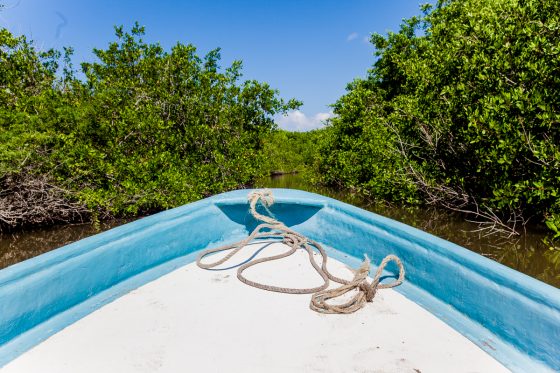 Experiencing The Best In Mazatlan, Mexico