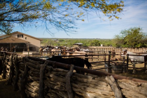 Spring Breakin’ Tucson Style At Tanque Verde Ranch Spring Breakin’ Tucson Style At Tanque Verde Ranch