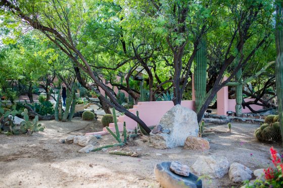 Spring Breakin’ Tucson Style At Tanque Verde Ranch Spring Breakin’ Tucson Style At Tanque Verde Ranch