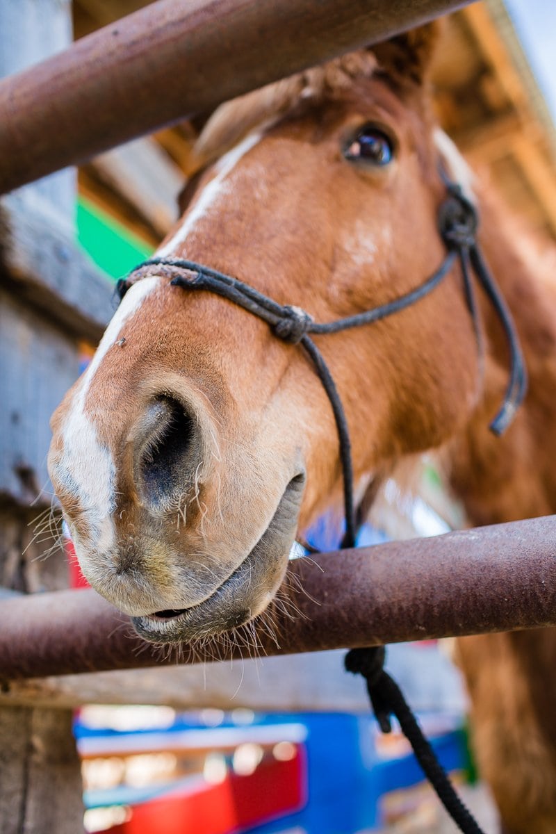 Spring Breakin’ Tucson Style At Tanque Verde Ranch Spring Breakin’ Tucson Style At Tanque Verde Ranch