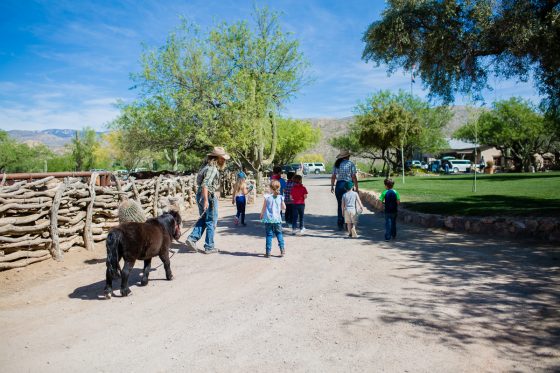 The Daily Mom Travel Diary: Our 3 Days At The Best Dude Ranch In Arizona The Daily Mom Travel Diary: Our 3 Days At The Best Dude Ranch In Arizona